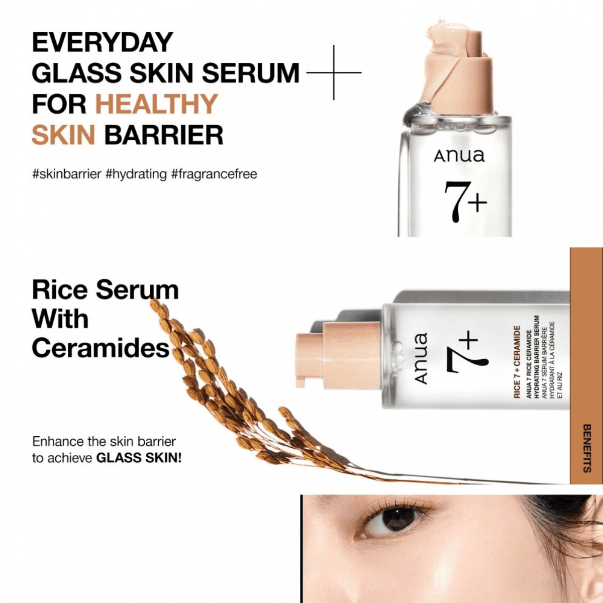 ANUA - 7 Rice Ceramide Hydrating Barrier Serum @سيروم الأرز والسيراميد لترطيب البشره