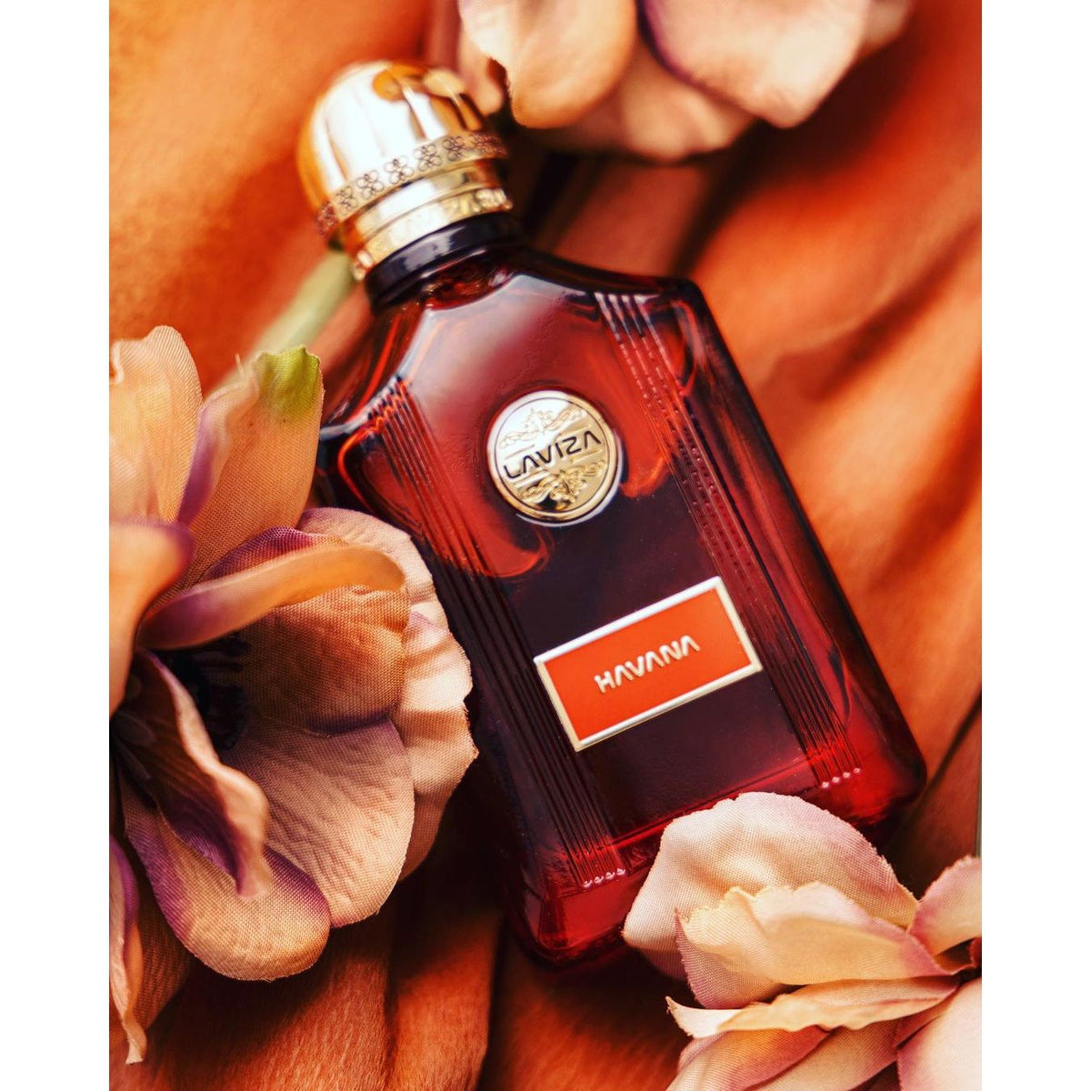 LAVIZA - Havana Parfum 100ml - لافيزا - عطر هافانا