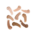 CATRICE - Soft Glam Filter Stick