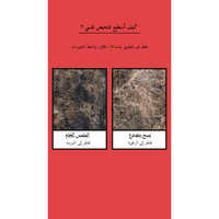 Zombie Beauty by SKIN1004 Mummy Pack @ قناع للوجه