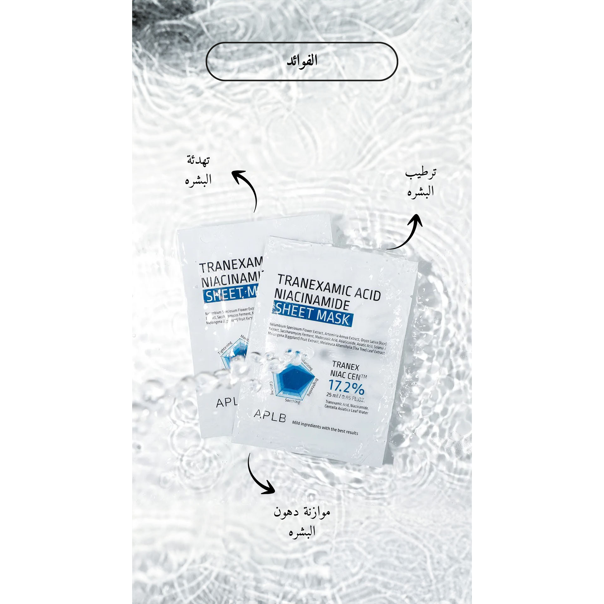 APLB - Tranexamic Acid Niacinamide Sheet Mask