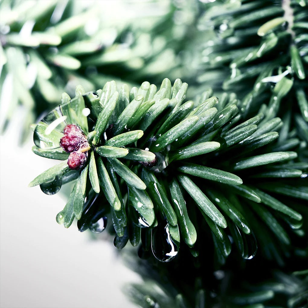 David Off : Run For Him (100 ml) @ عطر