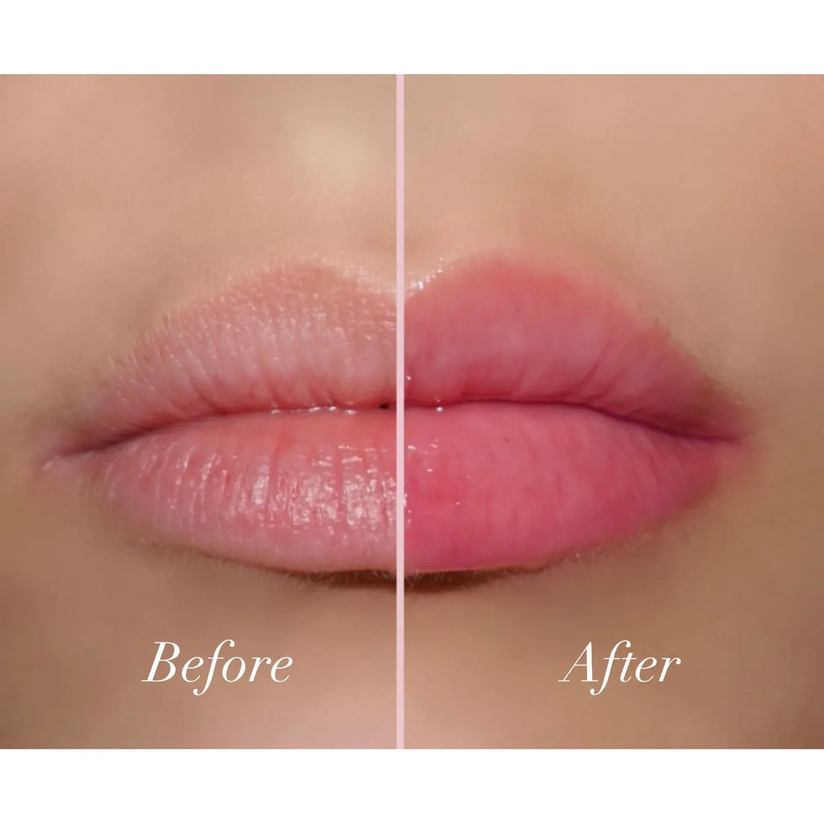 GIRLACTIK - Rose Oil Tint Petal Gloss @ مرطب زيتي للشفاه