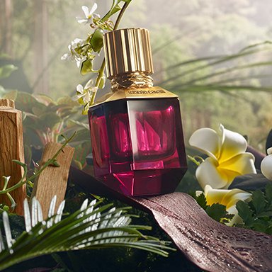 Roberto Cavalli: Paradise Found Eau De Parfum (Women) @ عطر