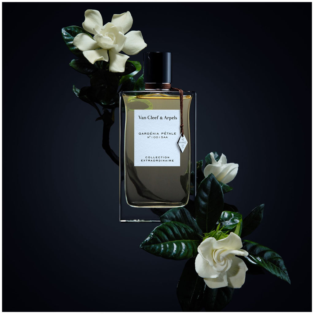 VAN CLEEF & ARPELS Gardenia Petale 75ML @ عطر