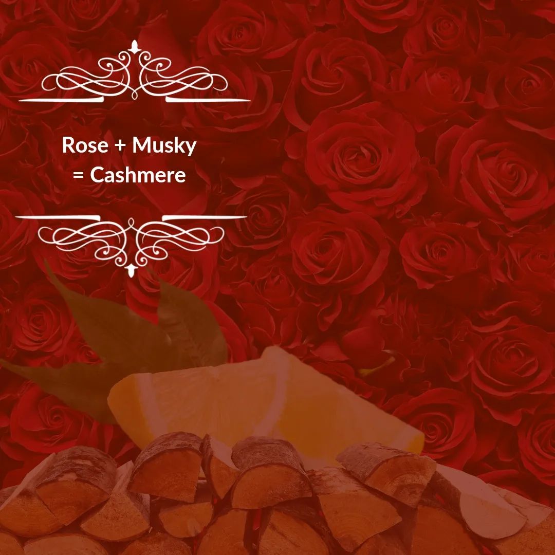 LAVIZA - Cashmere Parfum 100ml - لافيزا - عطر كشميري