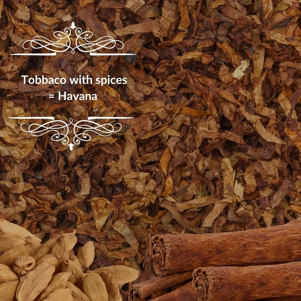 LAVIZA - Havana Parfum 100ml - لافيزا - عطر هافانا