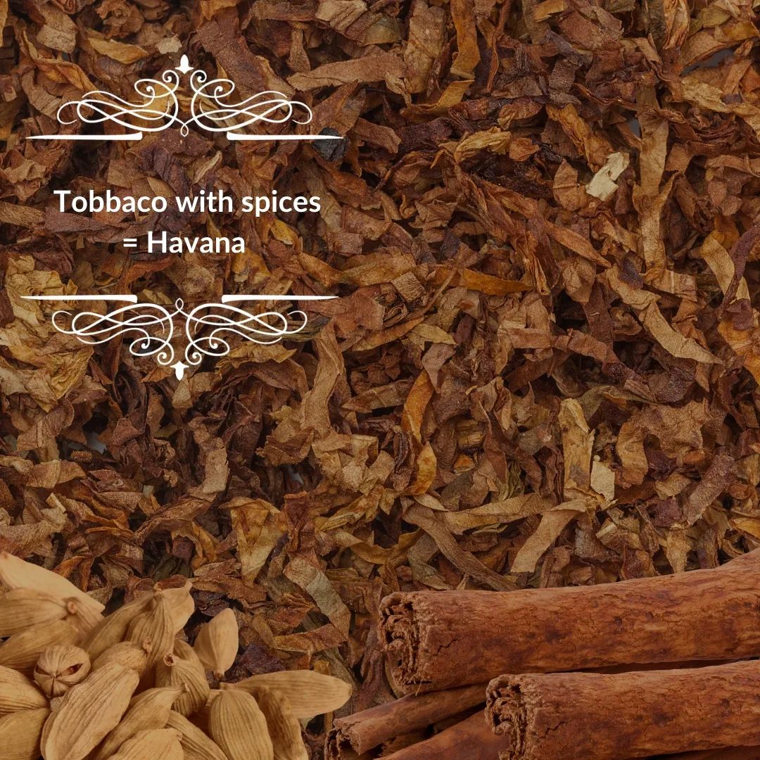 LAVIZA - Havana Parfum 100ml - لافيزا - عطر هافانا