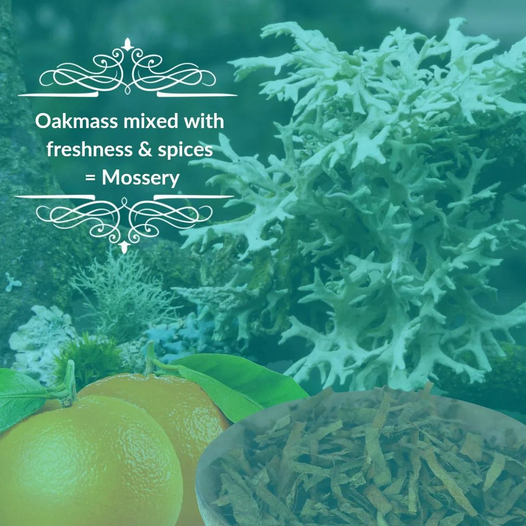 LAVIZA - Mossery Parfum 100ml - لافيزا - عطر موسري