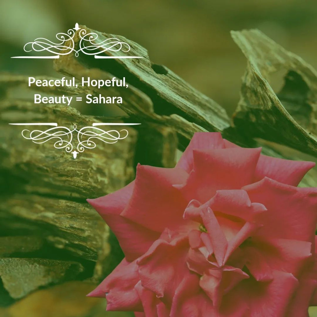 LAVIZA - Sahara Parfum 100ml - لافيزا - عطر صحراء
